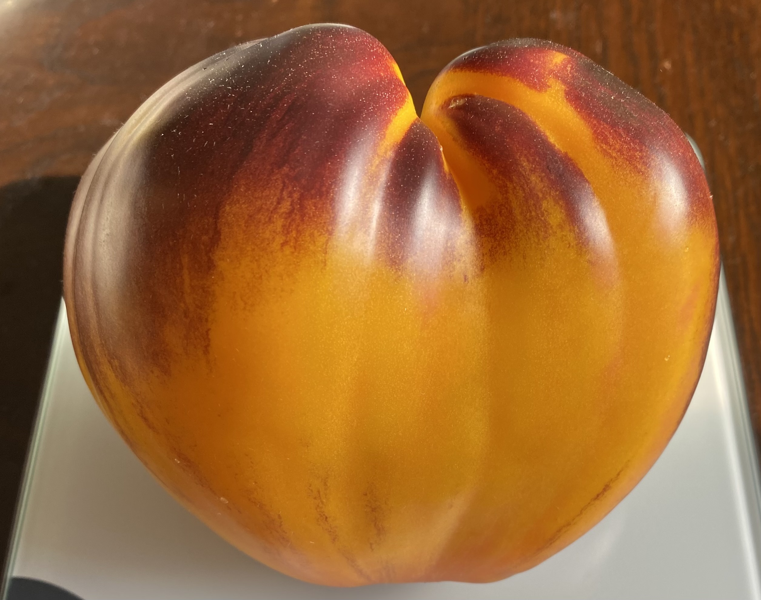 I Didn’t Believe in Blue Tomatoes… Until I Grew Them