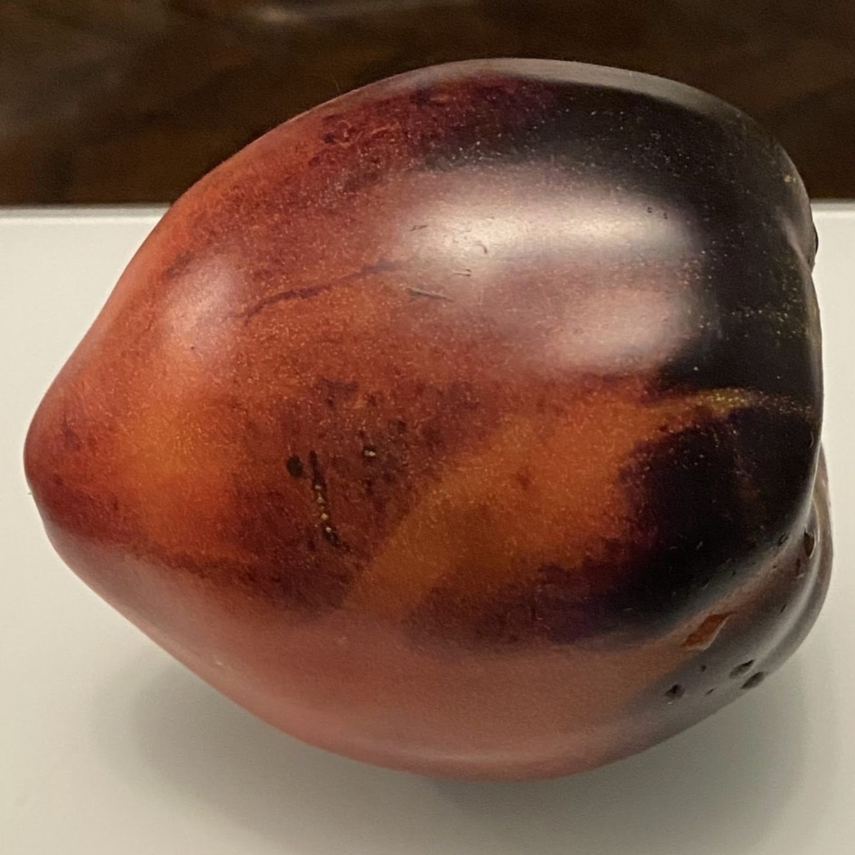 Tomato with anthocyanin (Blue / Purple)