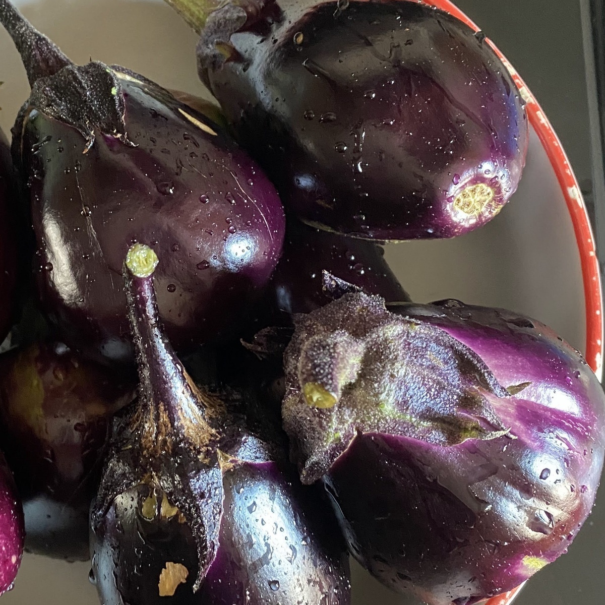 Eggplants