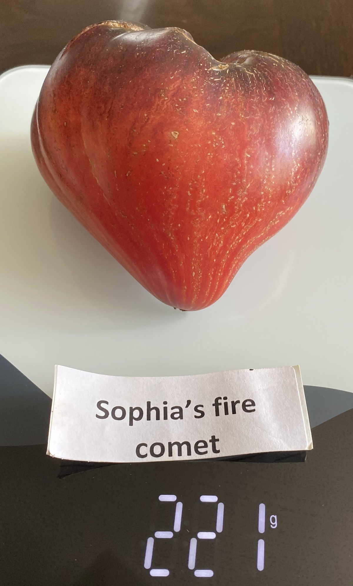 Sophia's Fire Comet