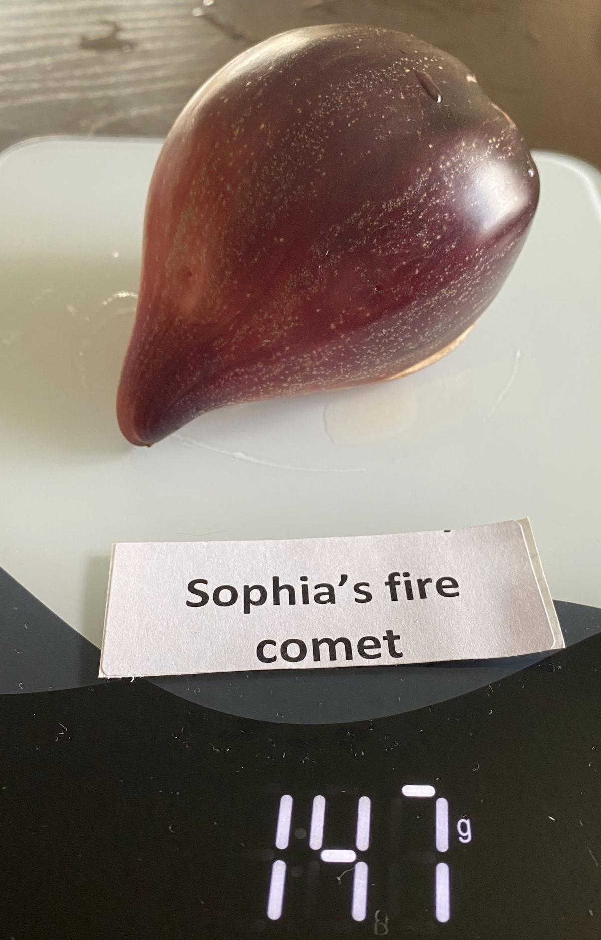 Sophia's Fire Comet