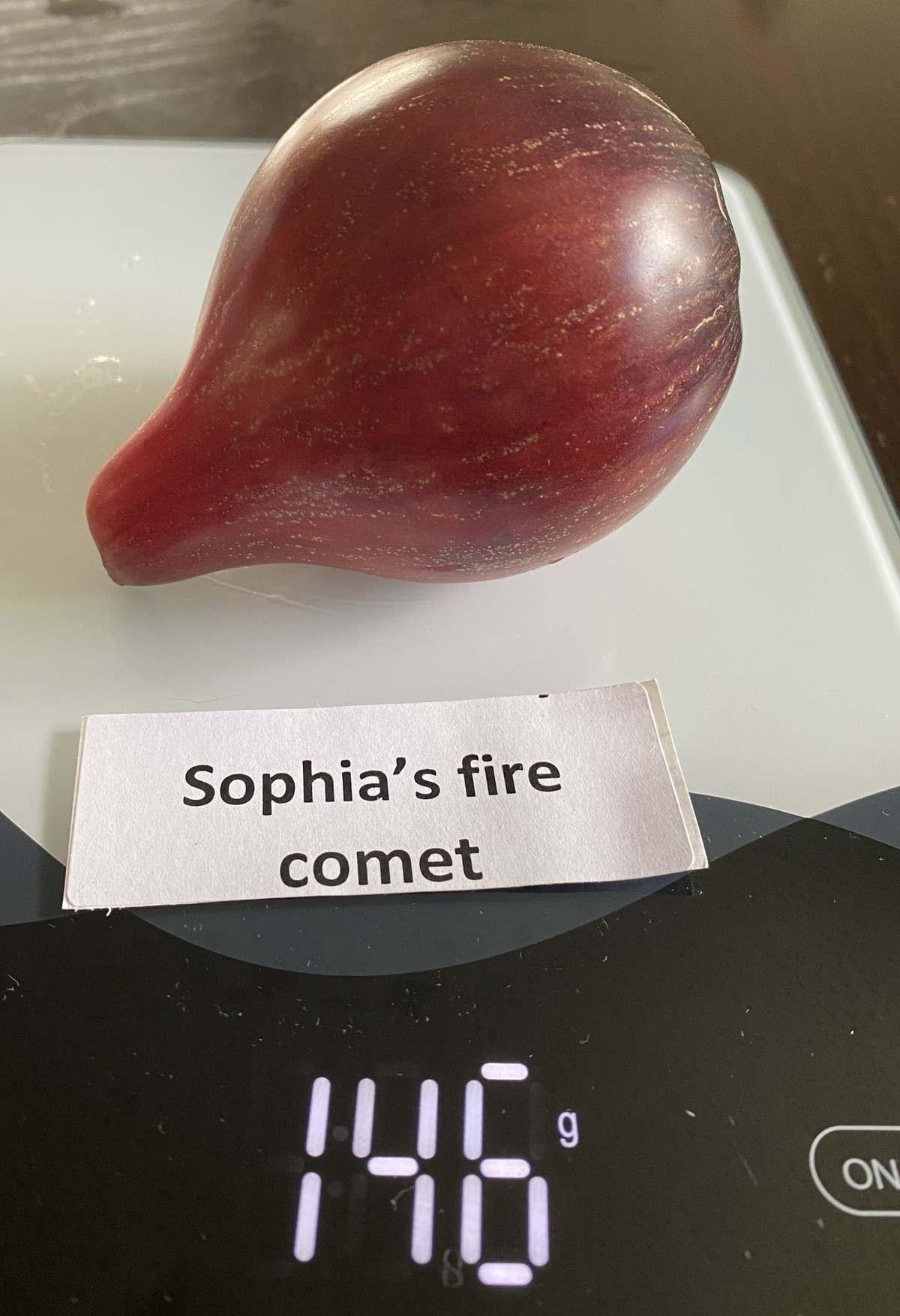 Sophia's Fire Comet