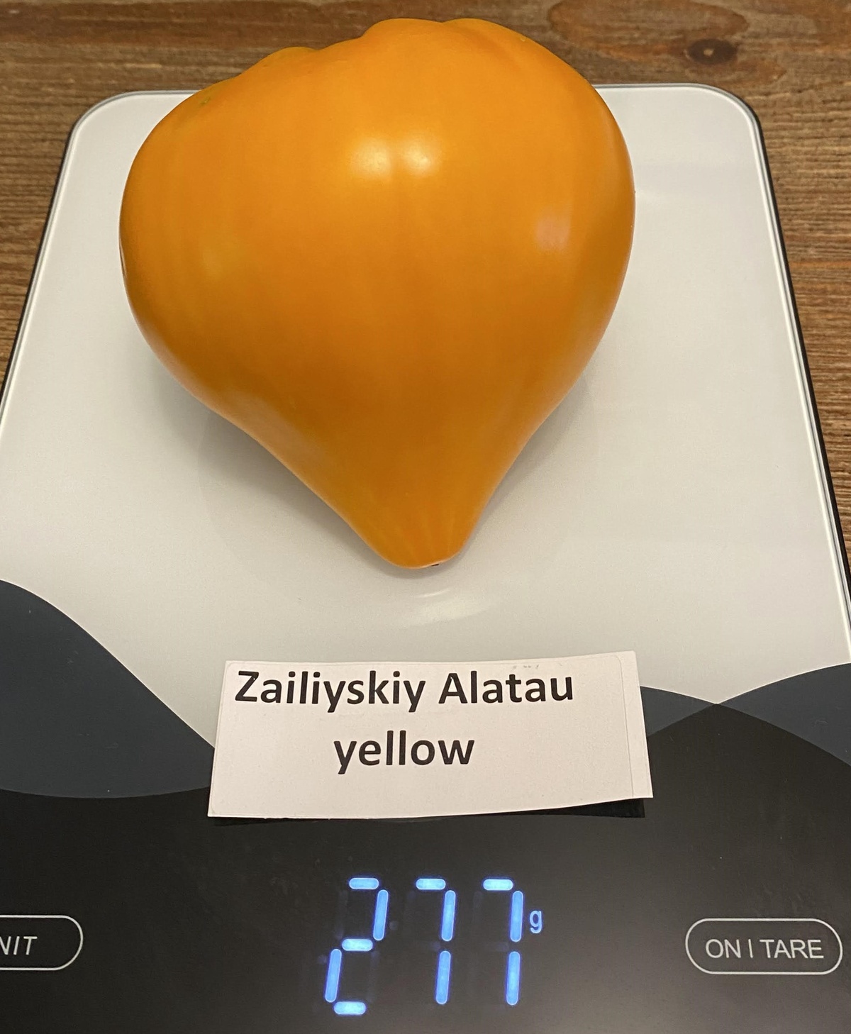 Zailijskiy Alatau Yellow
