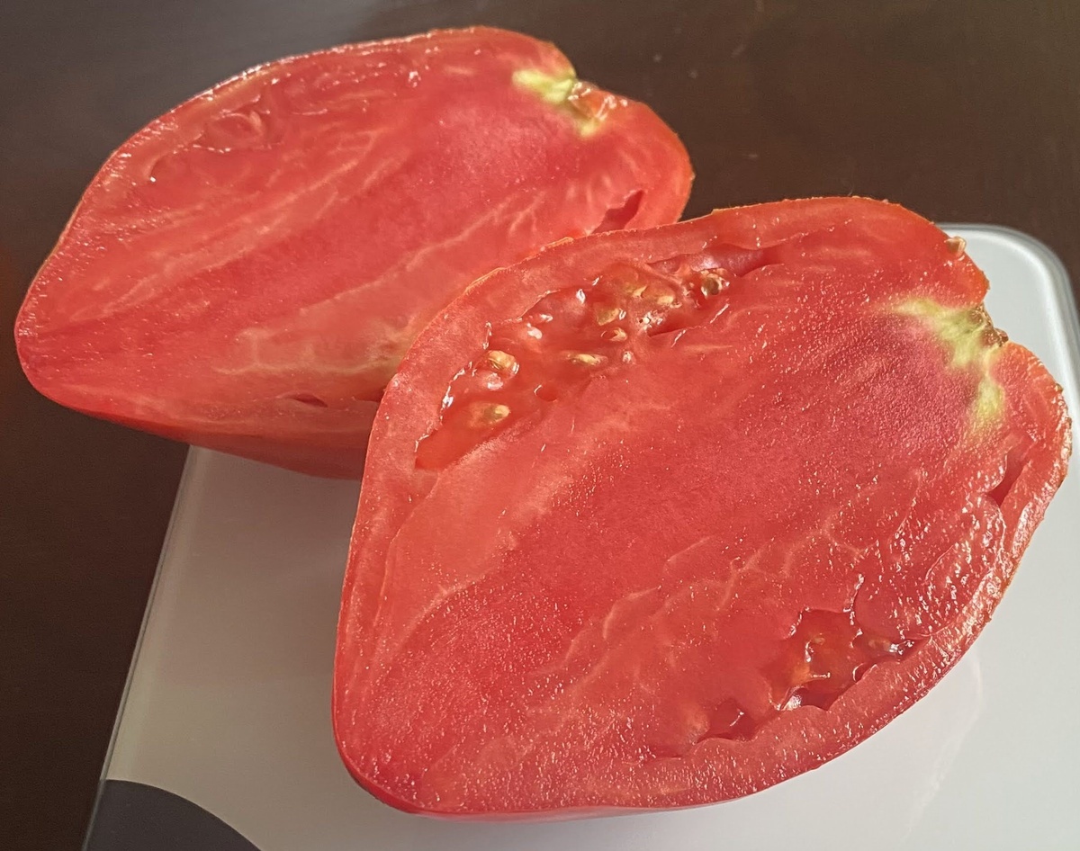 Ancient Heart of Aqui Terme (Cuore antico di Acqui Terme)