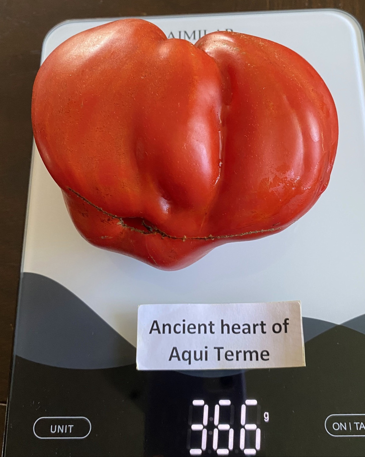 Ancient Heart of Aqui Terme (Cuore antico di Acqui Terme)