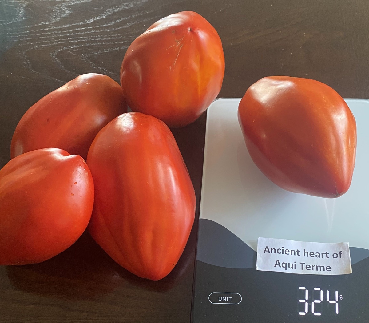 Ancient Heart of Aqui Terme (Cuore antico di Acqui Terme)