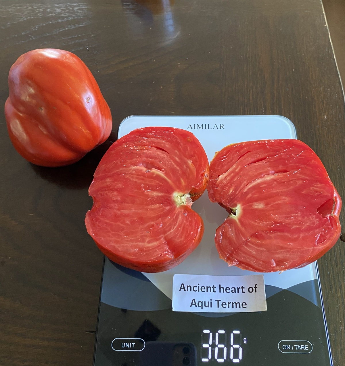 Ancient Heart of Aqui Terme (Cuore antico di Acqui Terme)