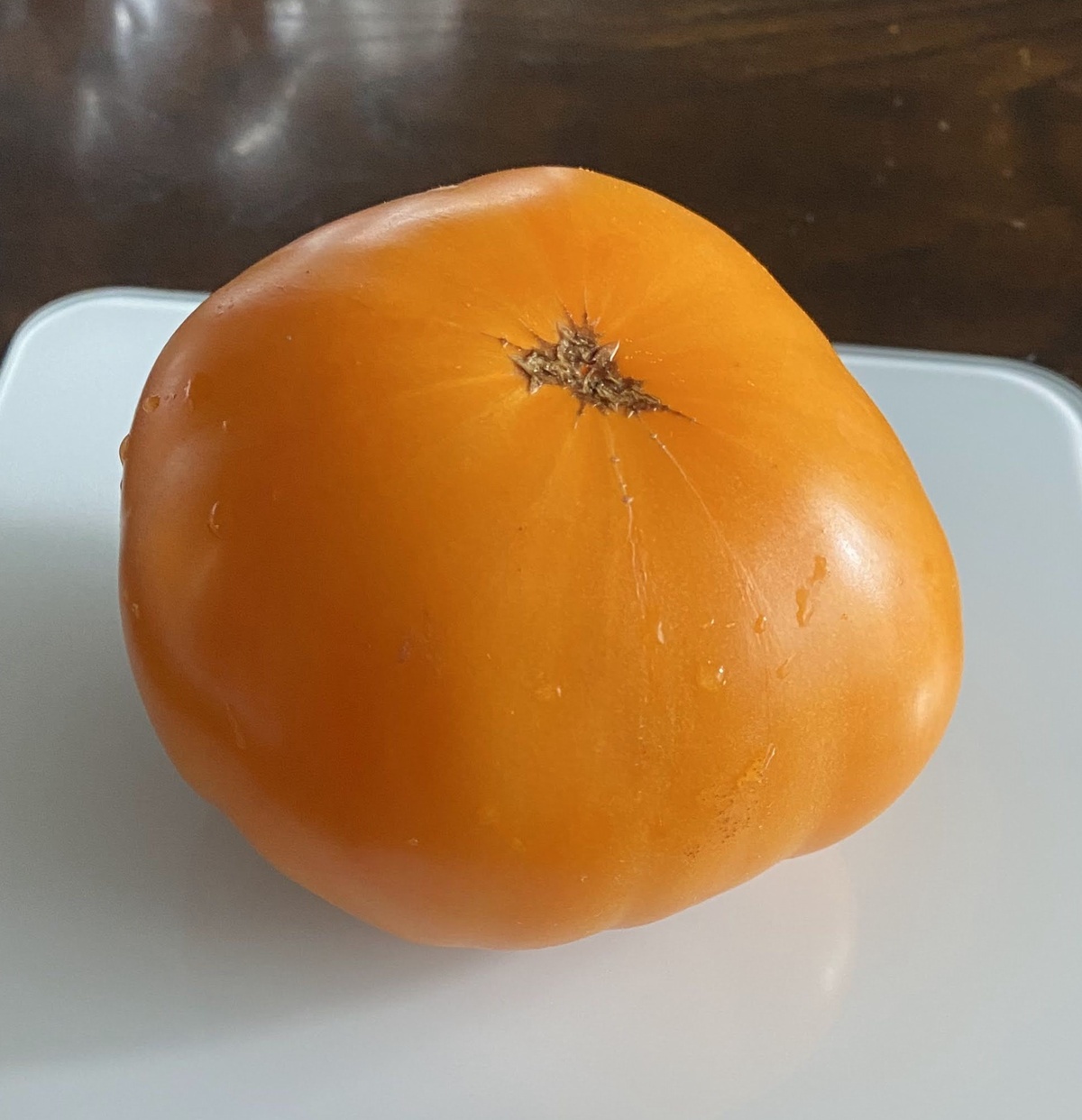 Barnes Mountain Yellow