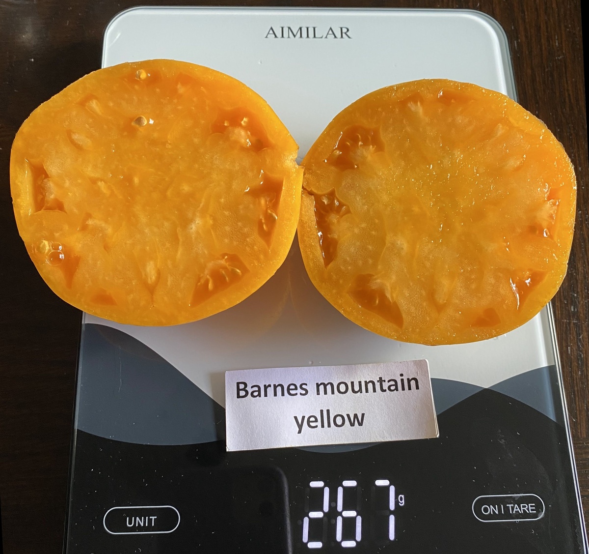 Barnes Mountain Yellow