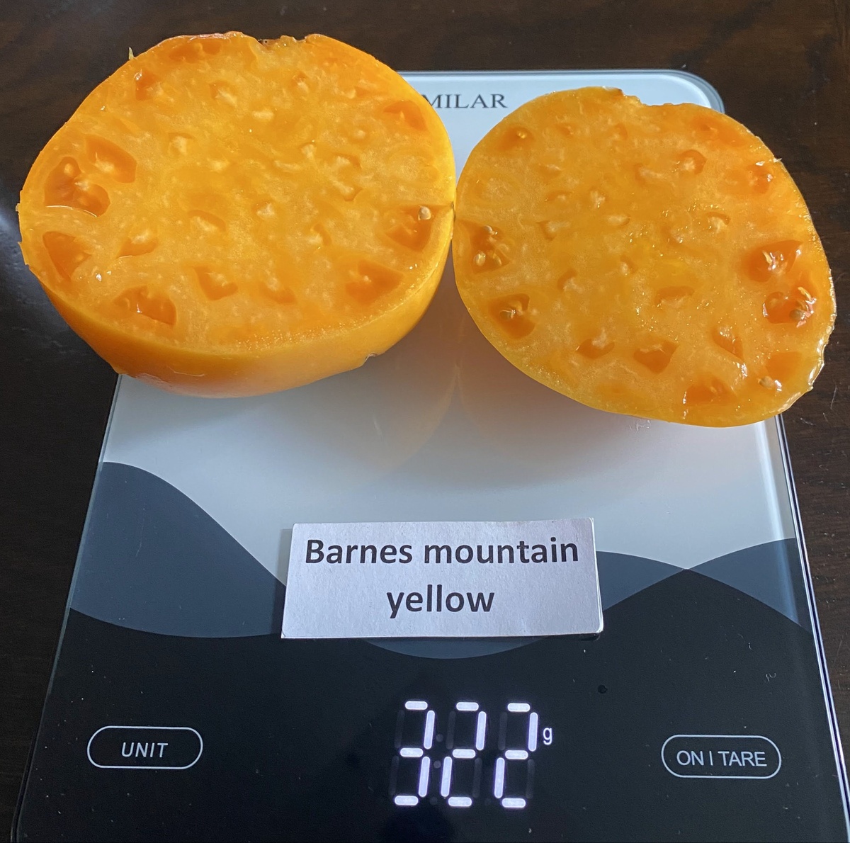 Barnes Mountain Yellow