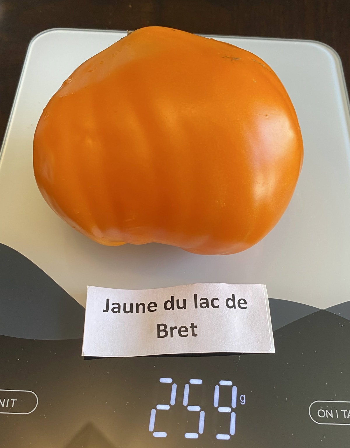 Jaune de Lac de Bret