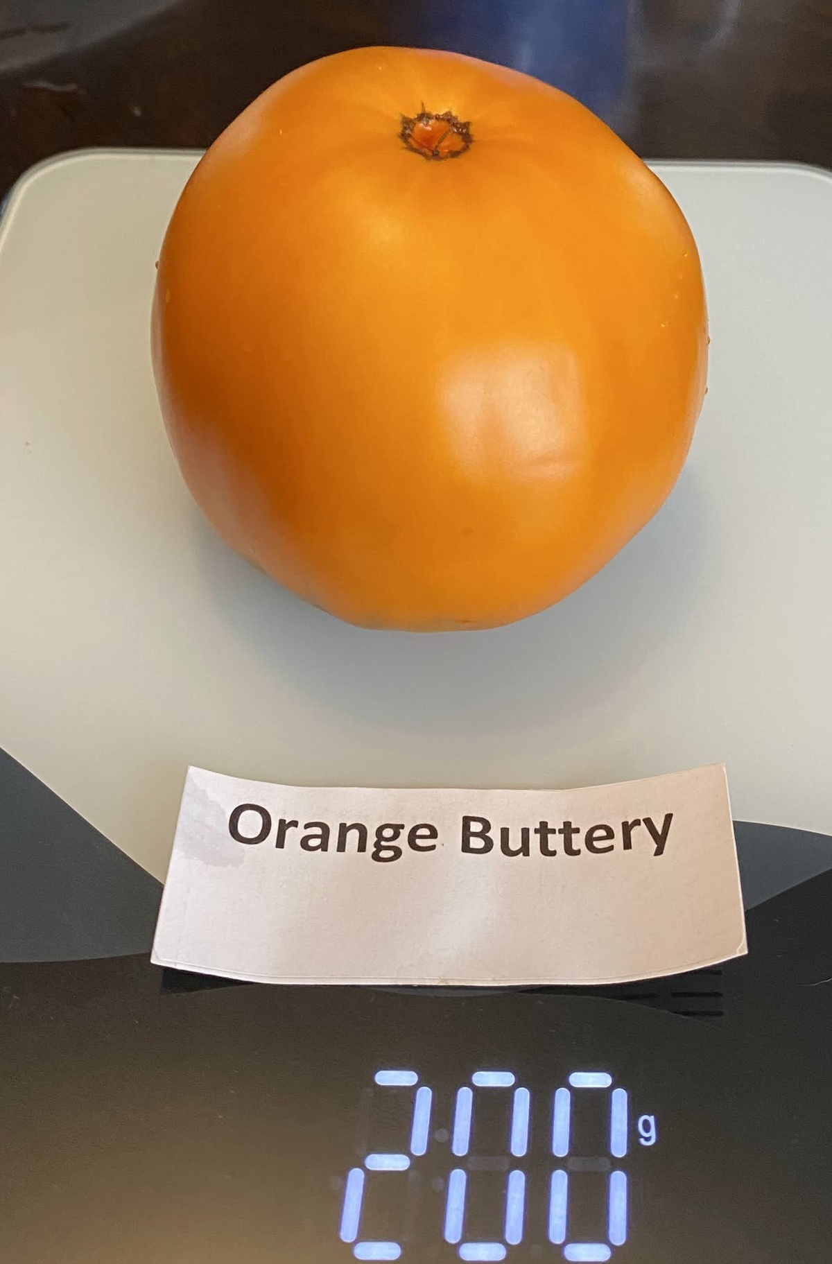 Orange Buttery