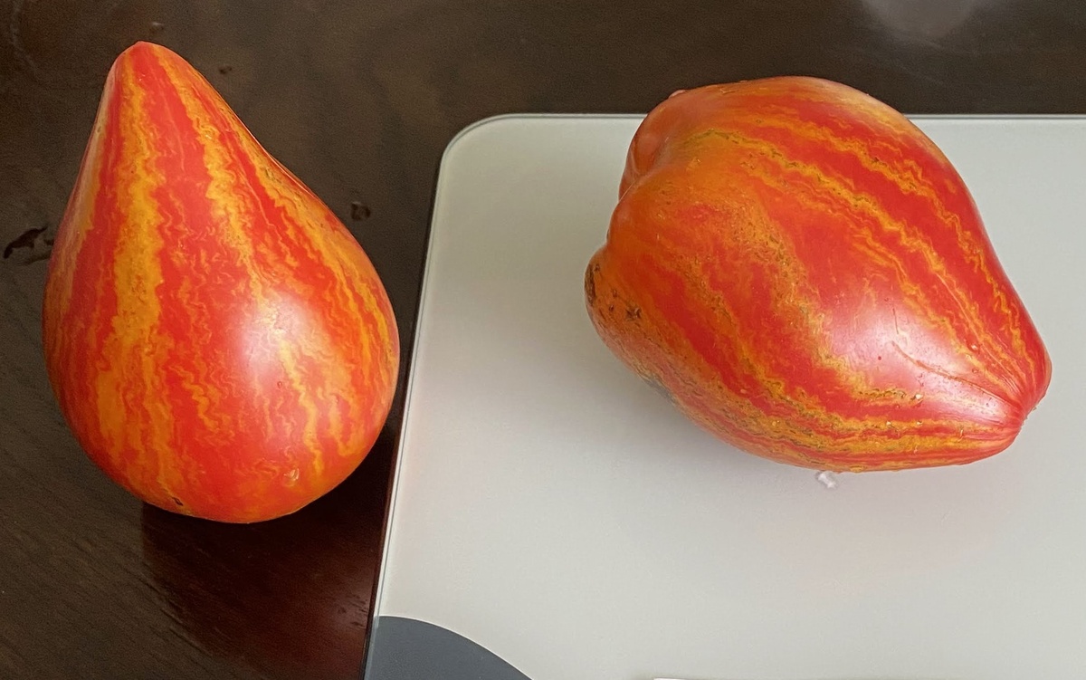 Sophia's Sweet Caramel