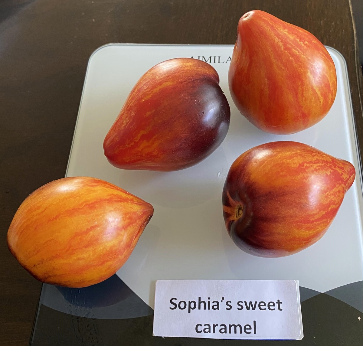 Sophia's Sweet Caramel