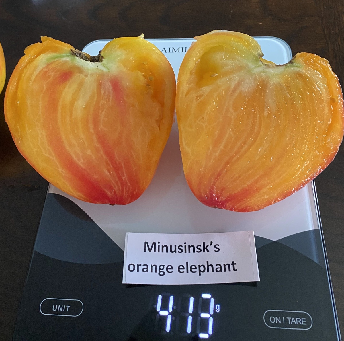 Minusinsk Orange Elephant