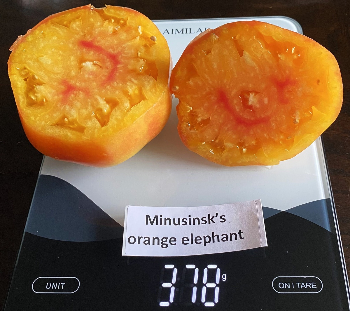 Minusinsk Orange Elephant