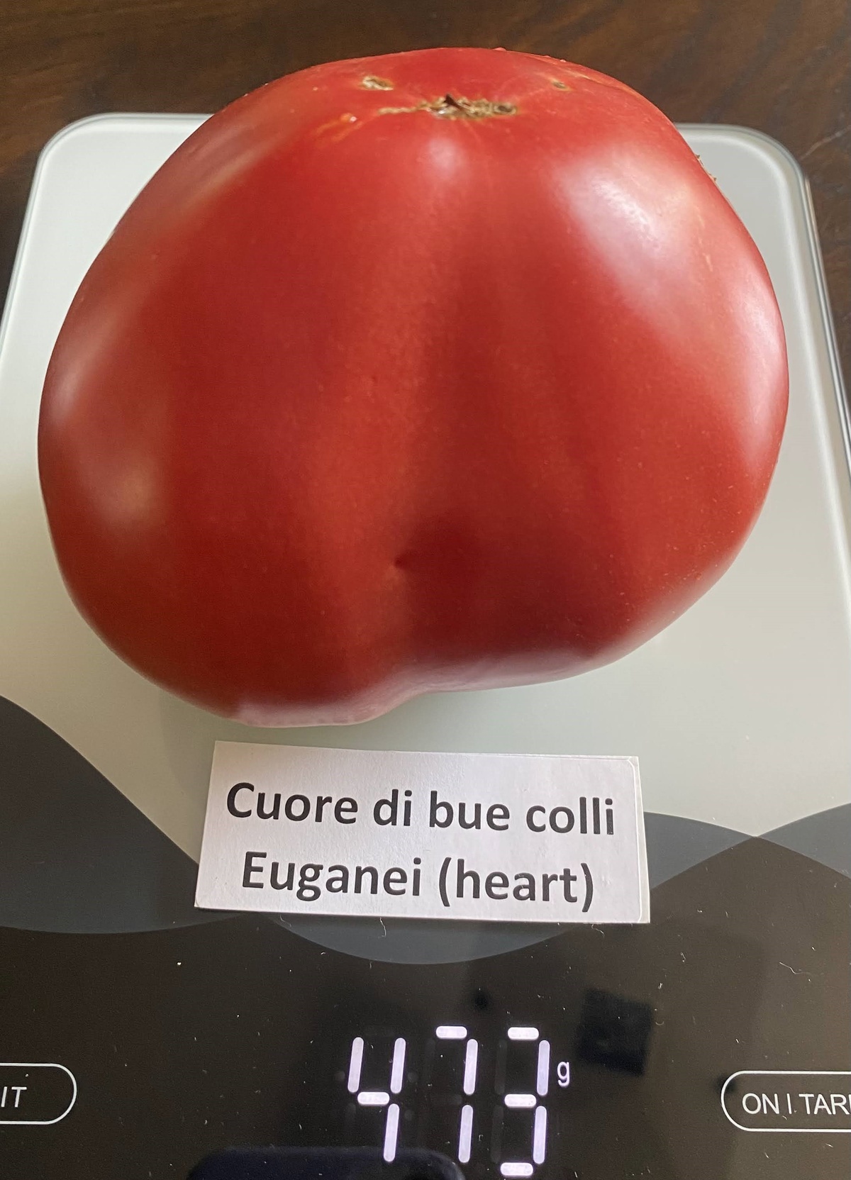 Cuore di bue Colli Euganei (Heart)