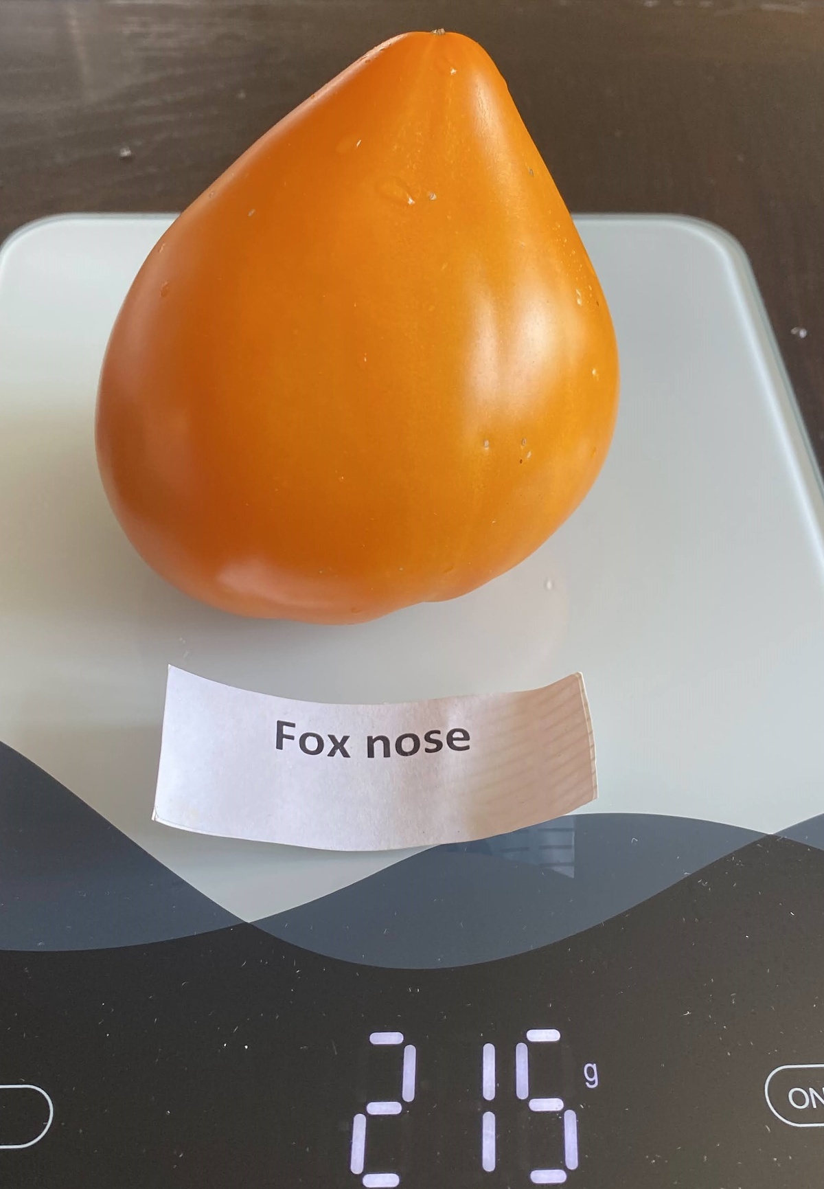 Fox Nose