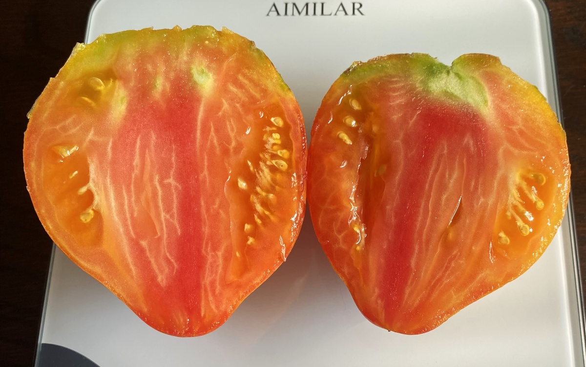 Sophia's Ginger Comet