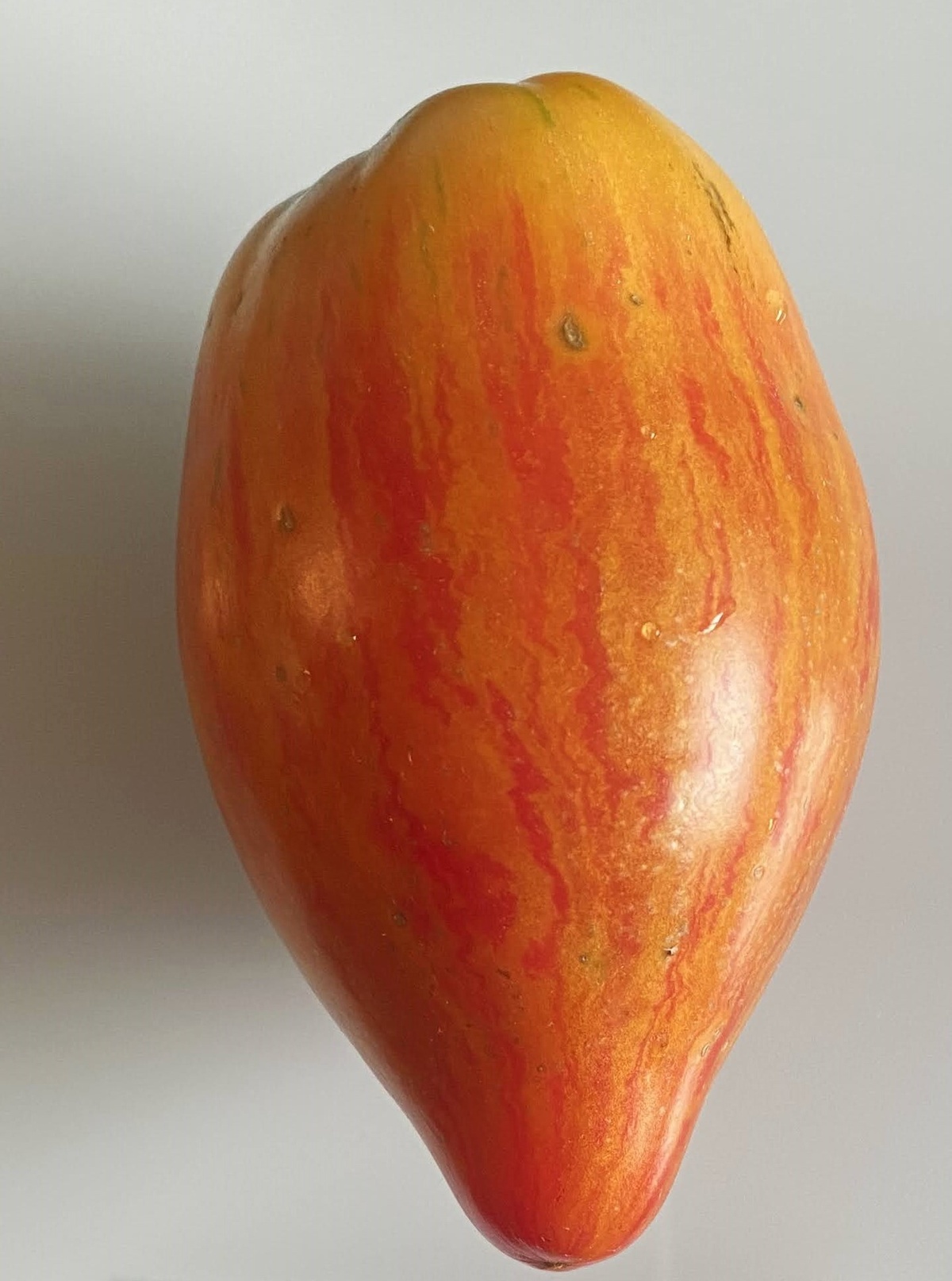 Sophia's Ginger Comet