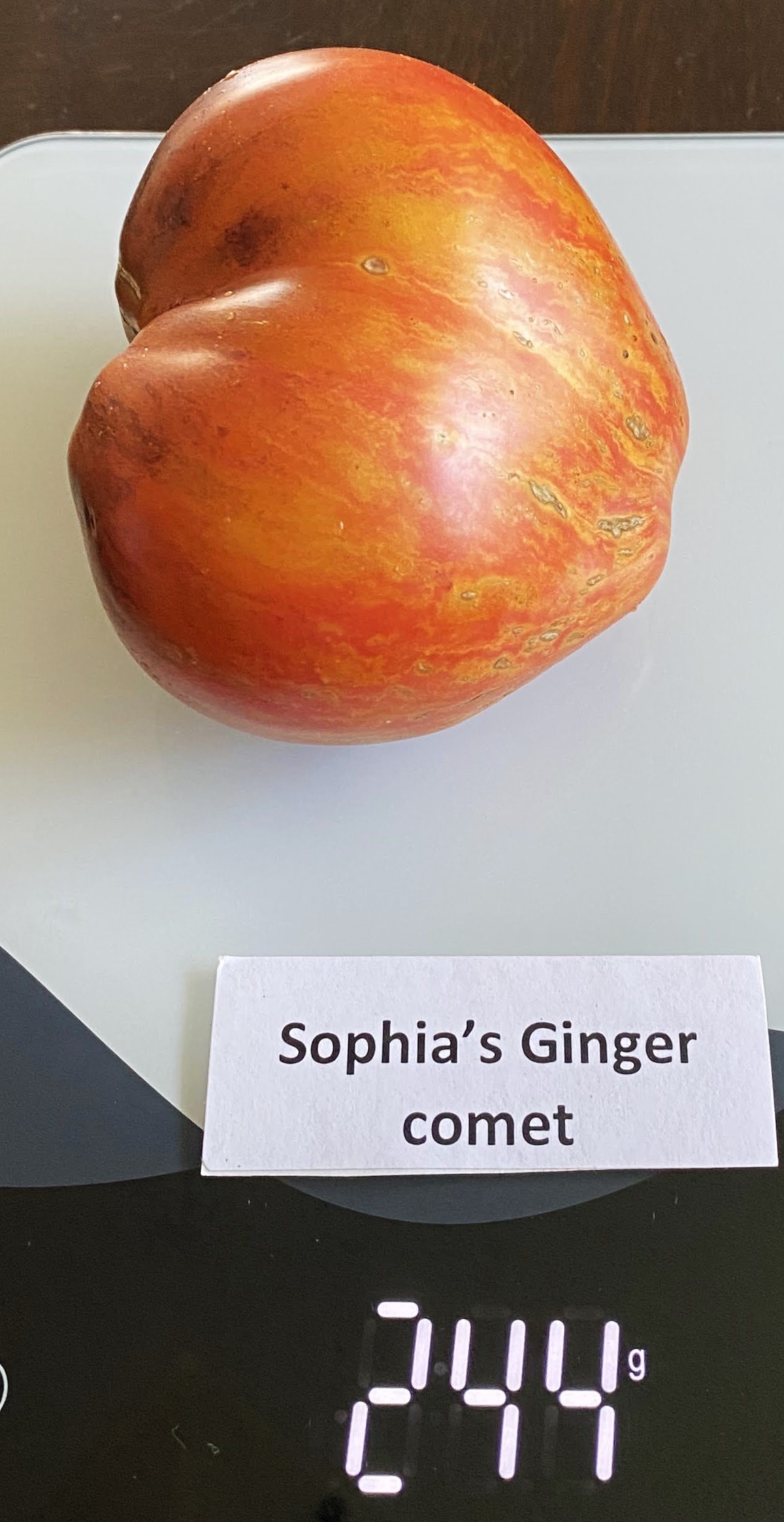 Sophia's Ginger Comet