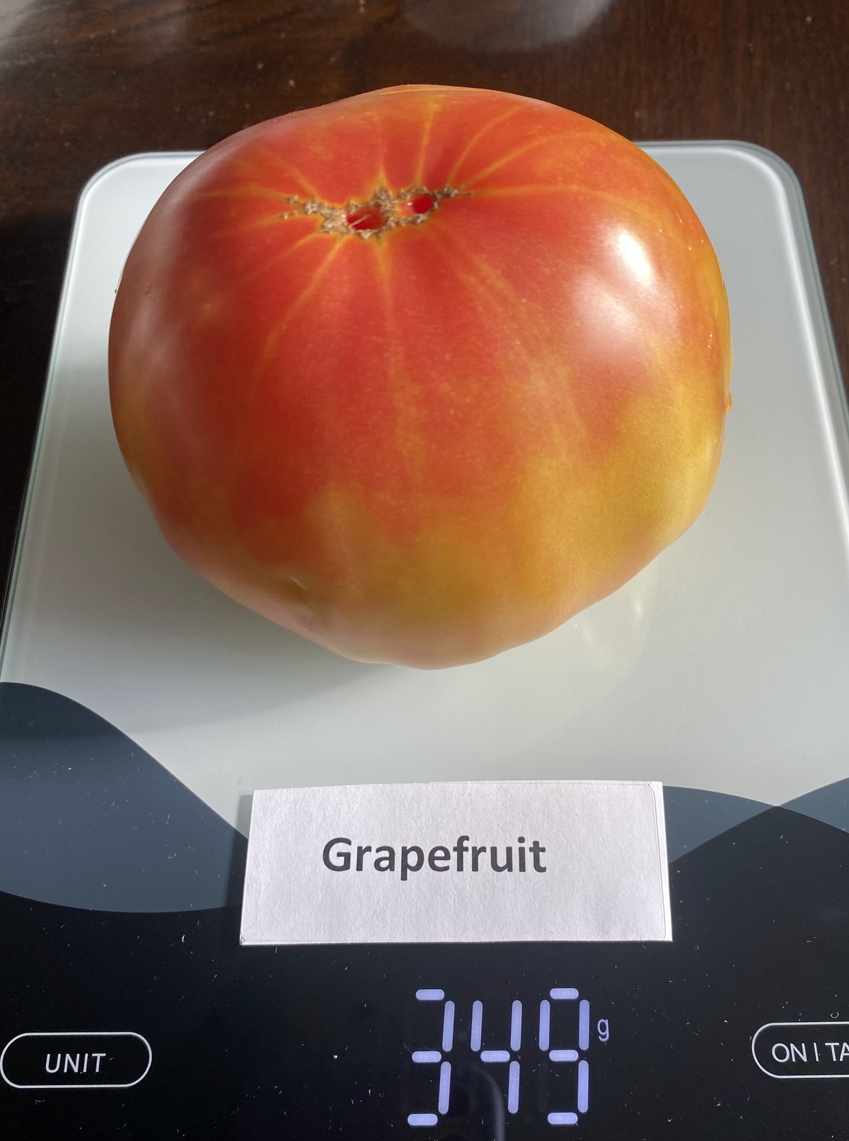Grapefruit