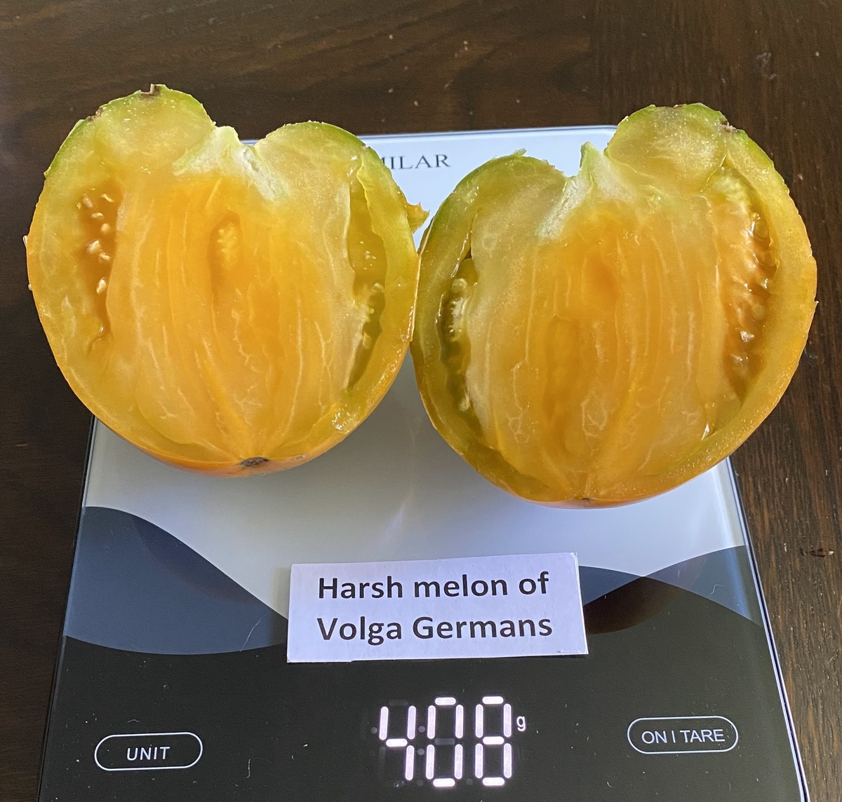 Harsh (Severe) Melon of Volga Germans