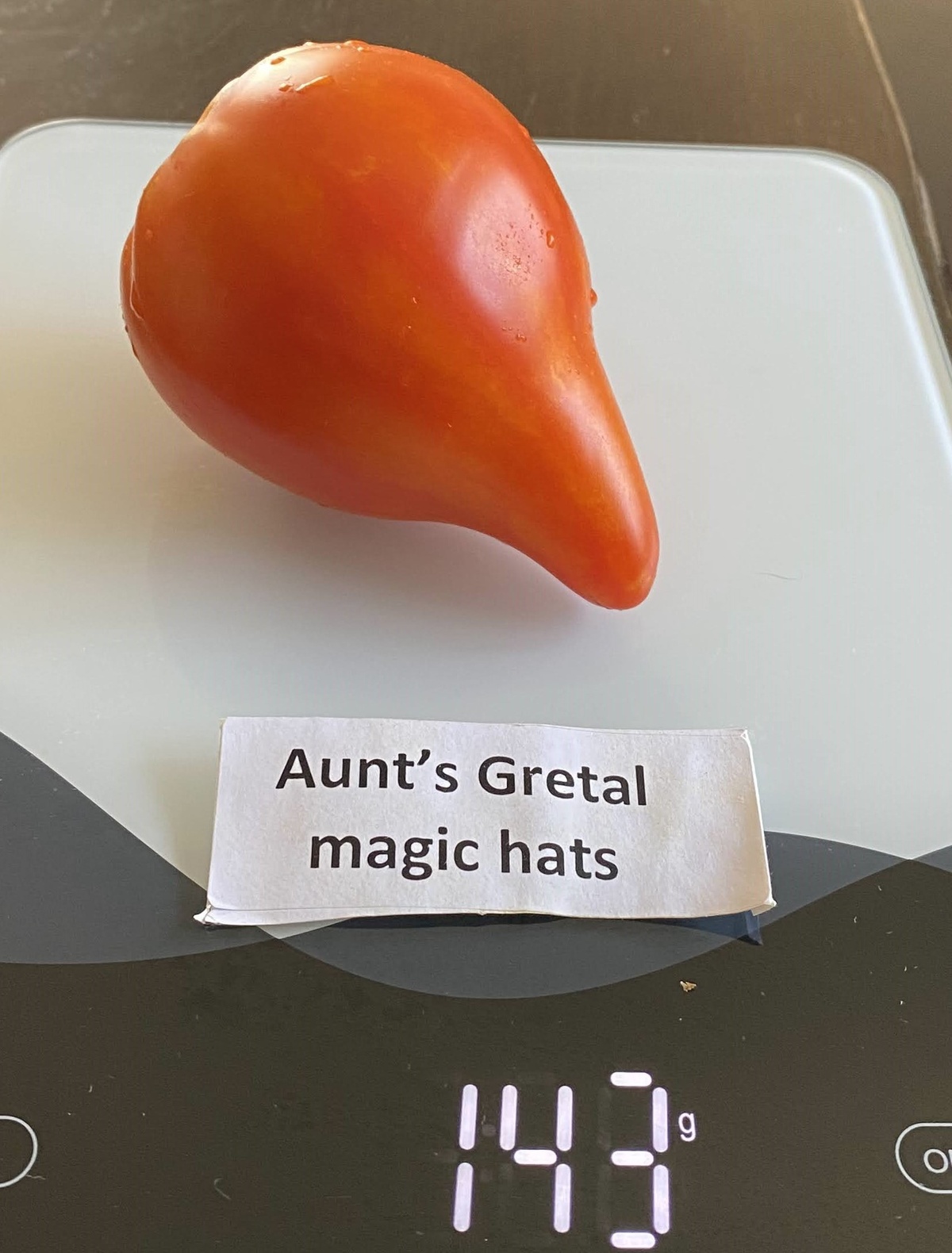 Aunt's Gretel Magic Hats