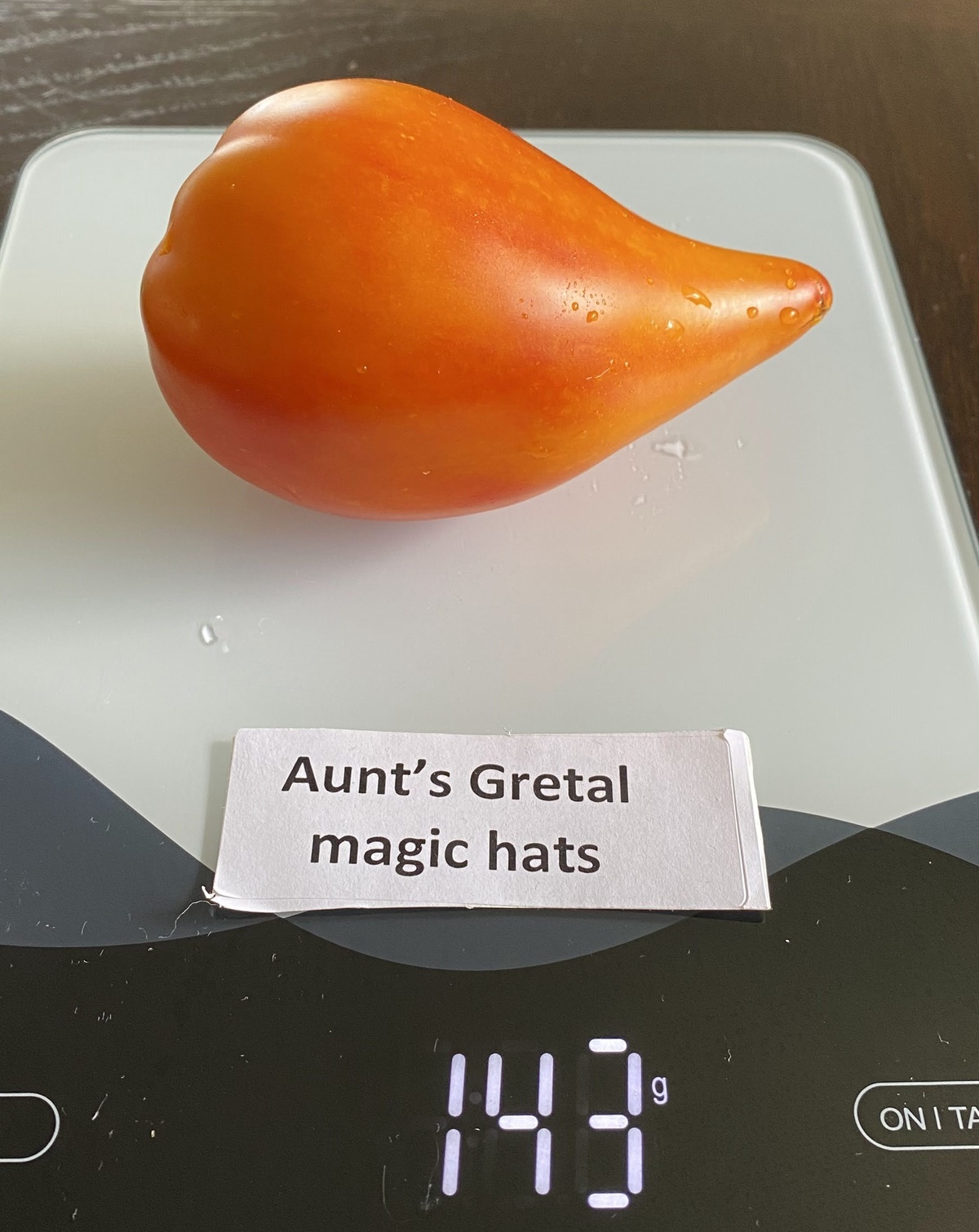 Aunt's Gretel Magic Hats