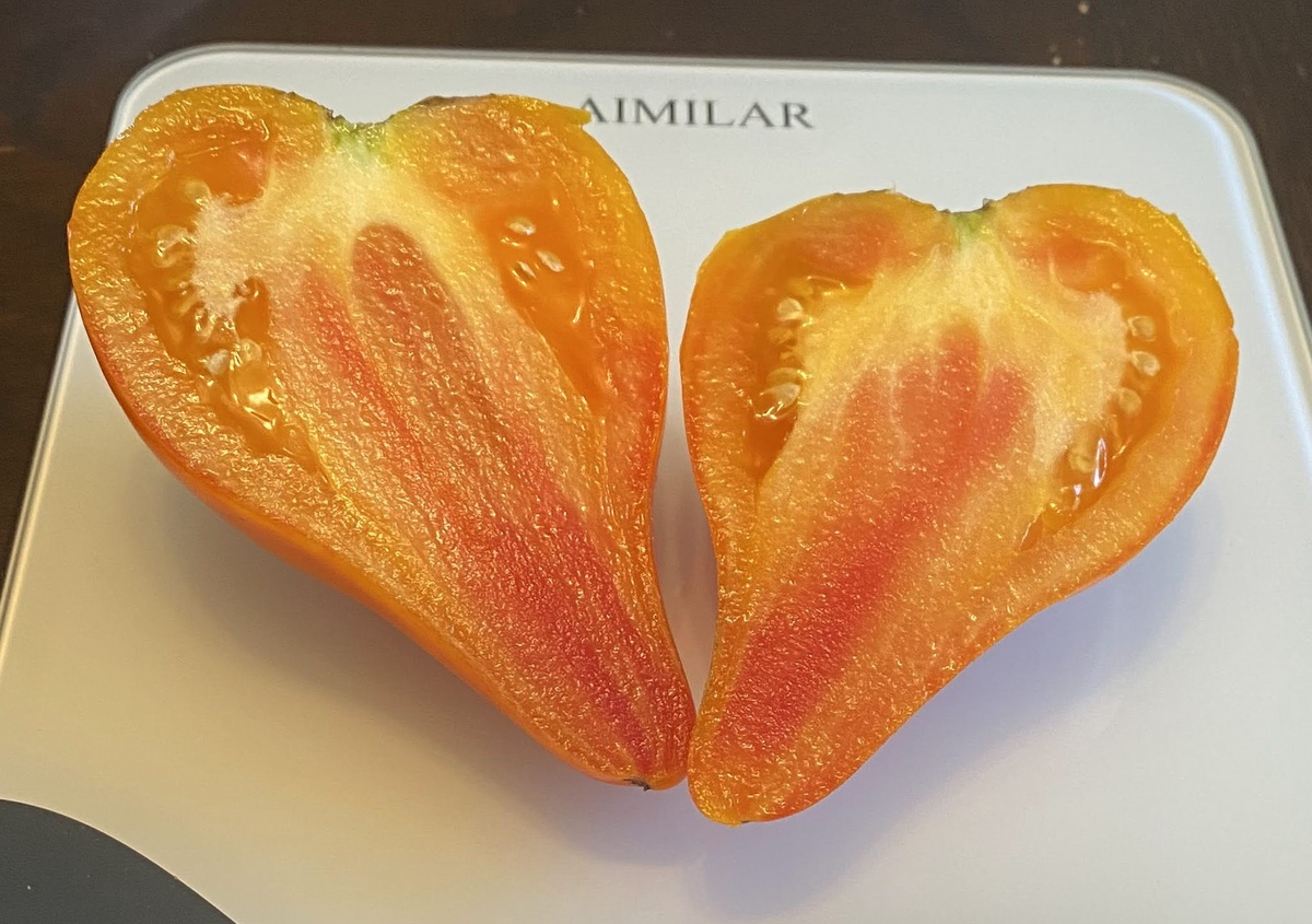 Aunt's Gretel Magic Hats