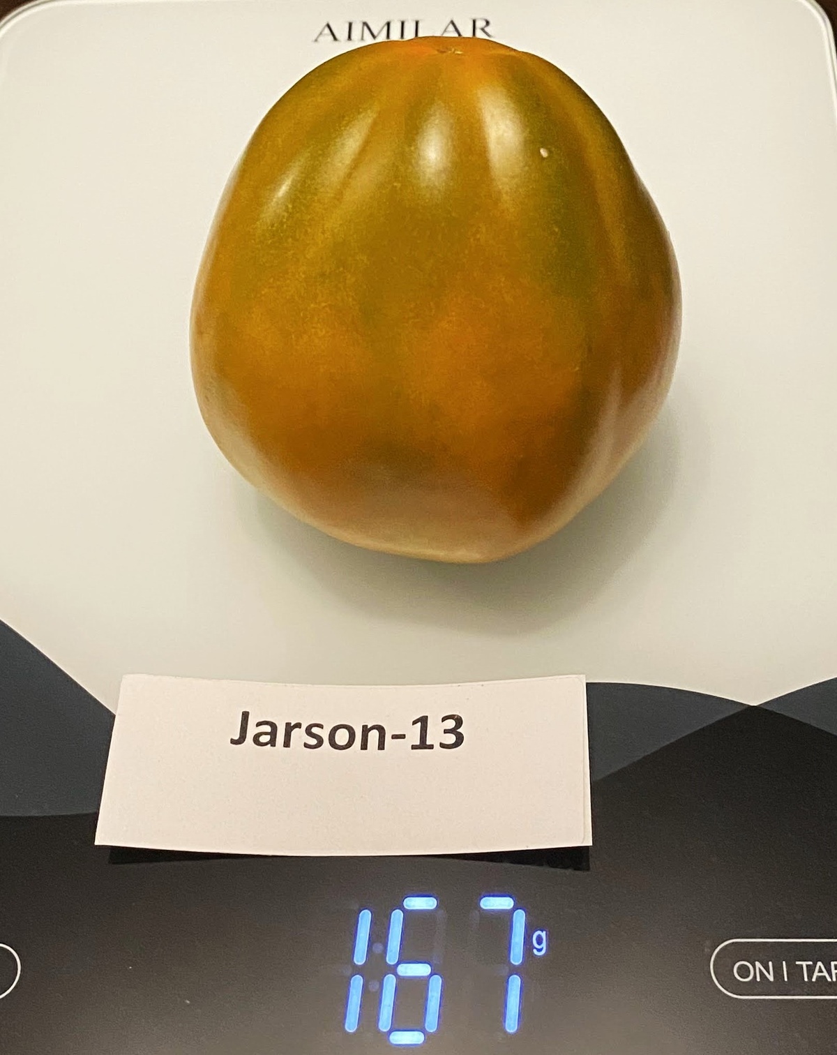 Jarson-13