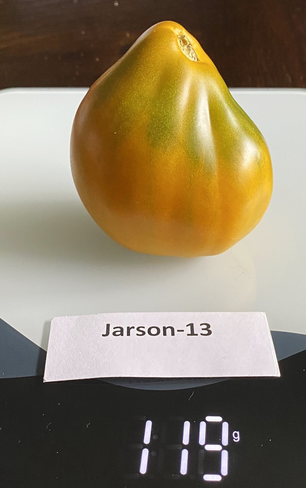 Jarson-13