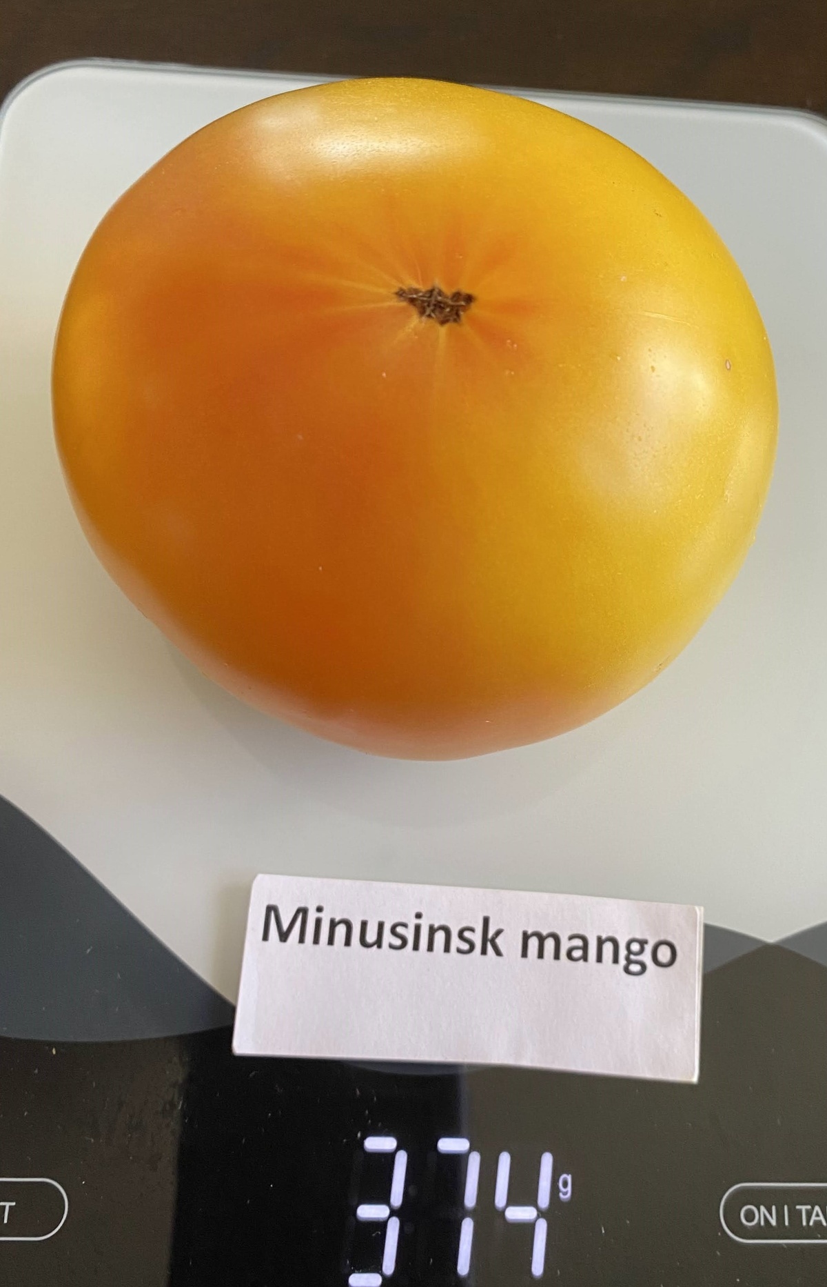 Minusinsk Mango