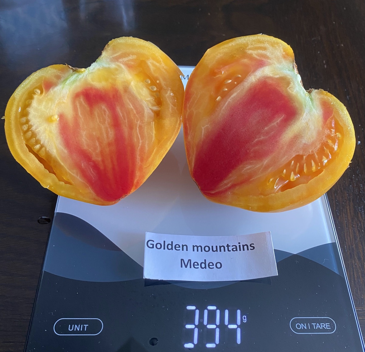 Golden Mountains Medeo