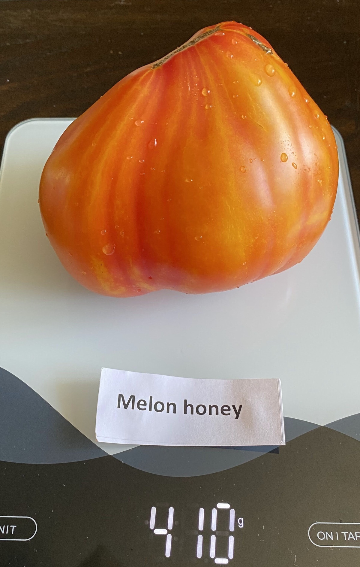 Melon Honey