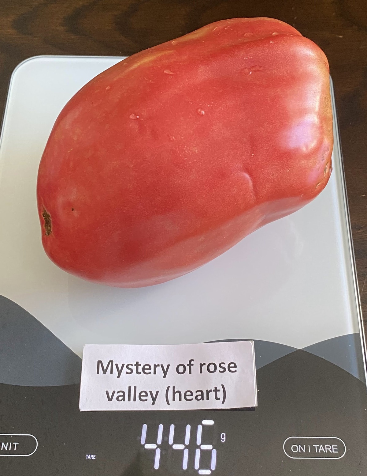 Mystery of Rose Valley (Heart)