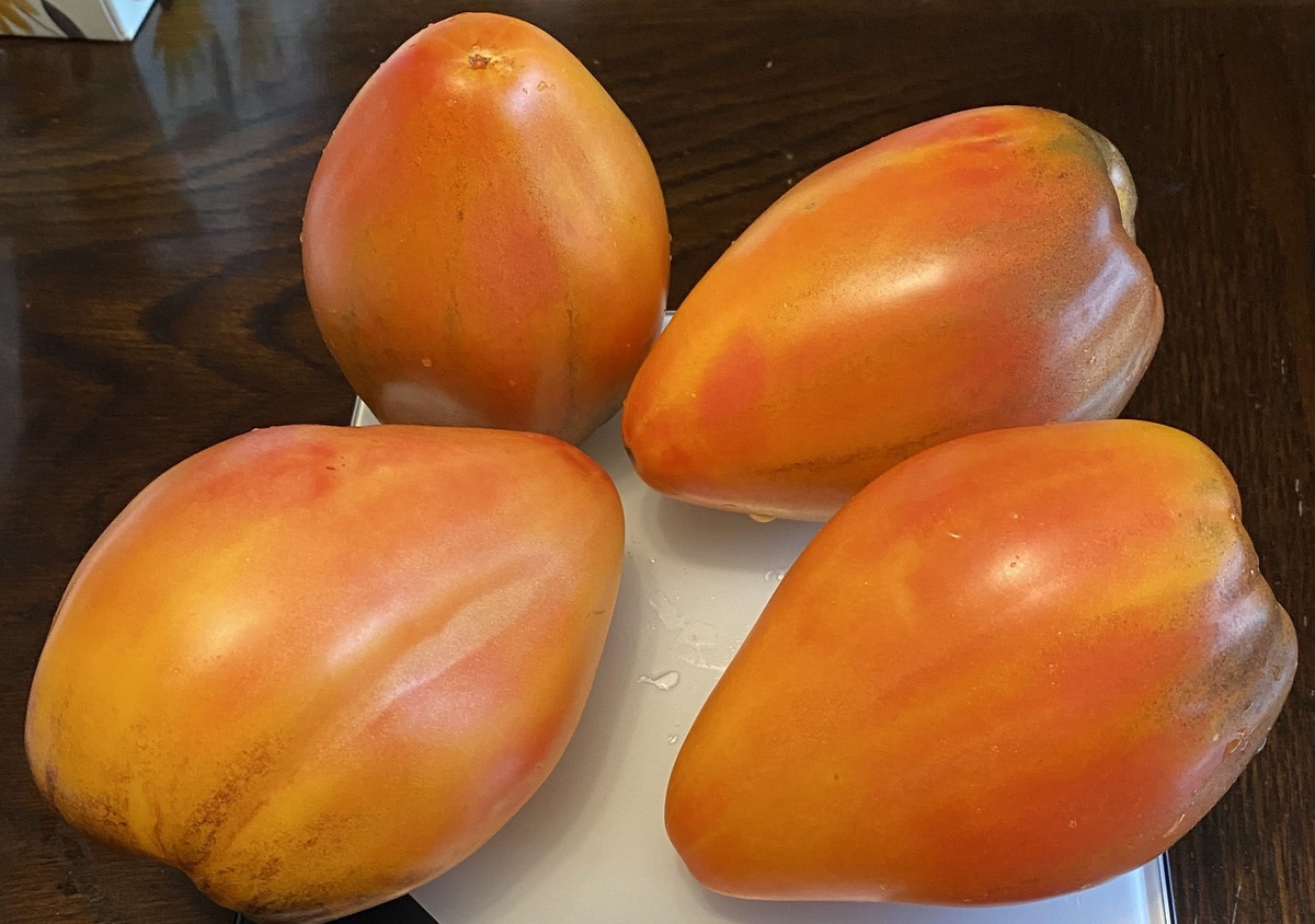 Pineapple Sergeant Rosy