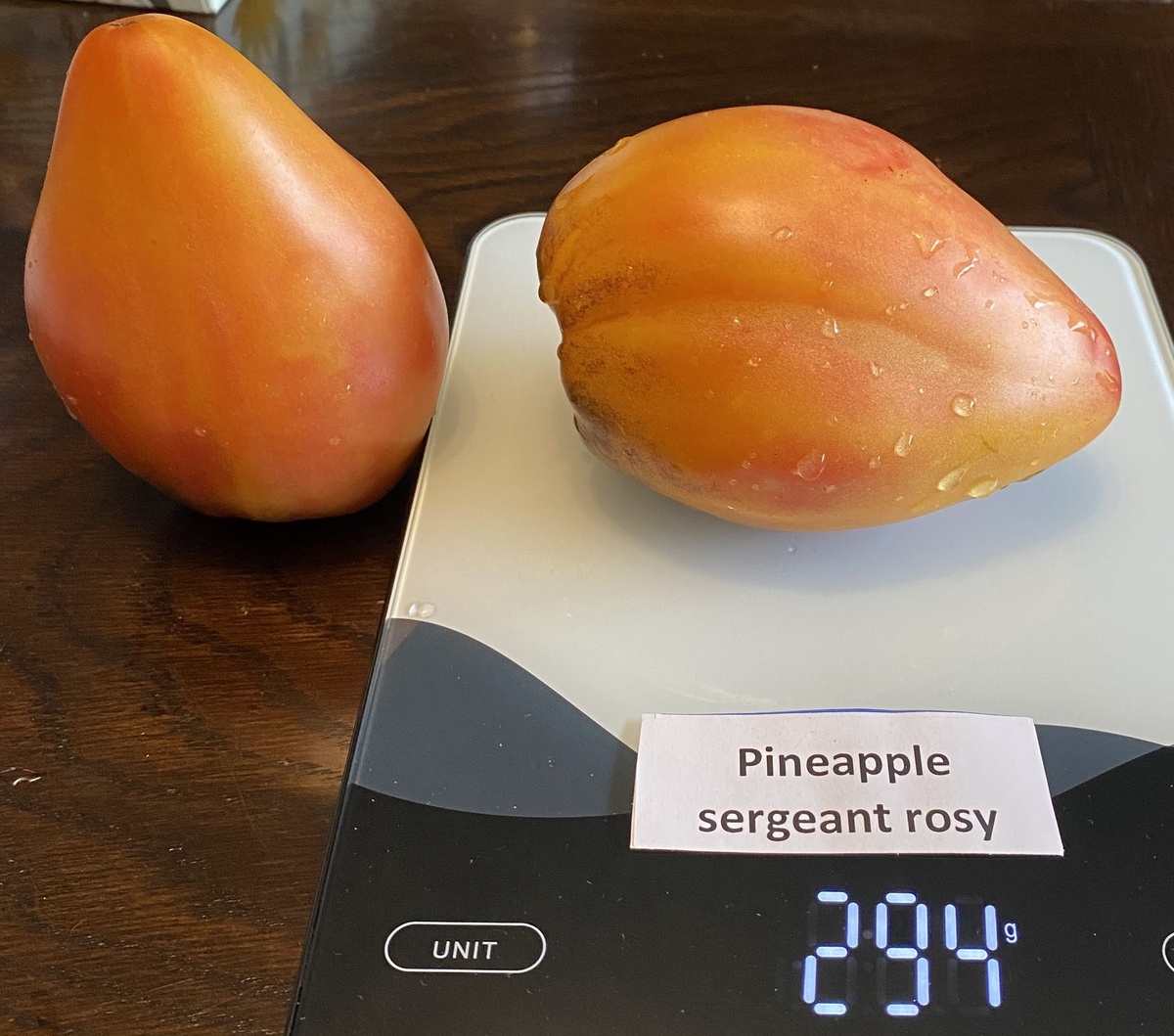 Pineapple Sergeant Rosy