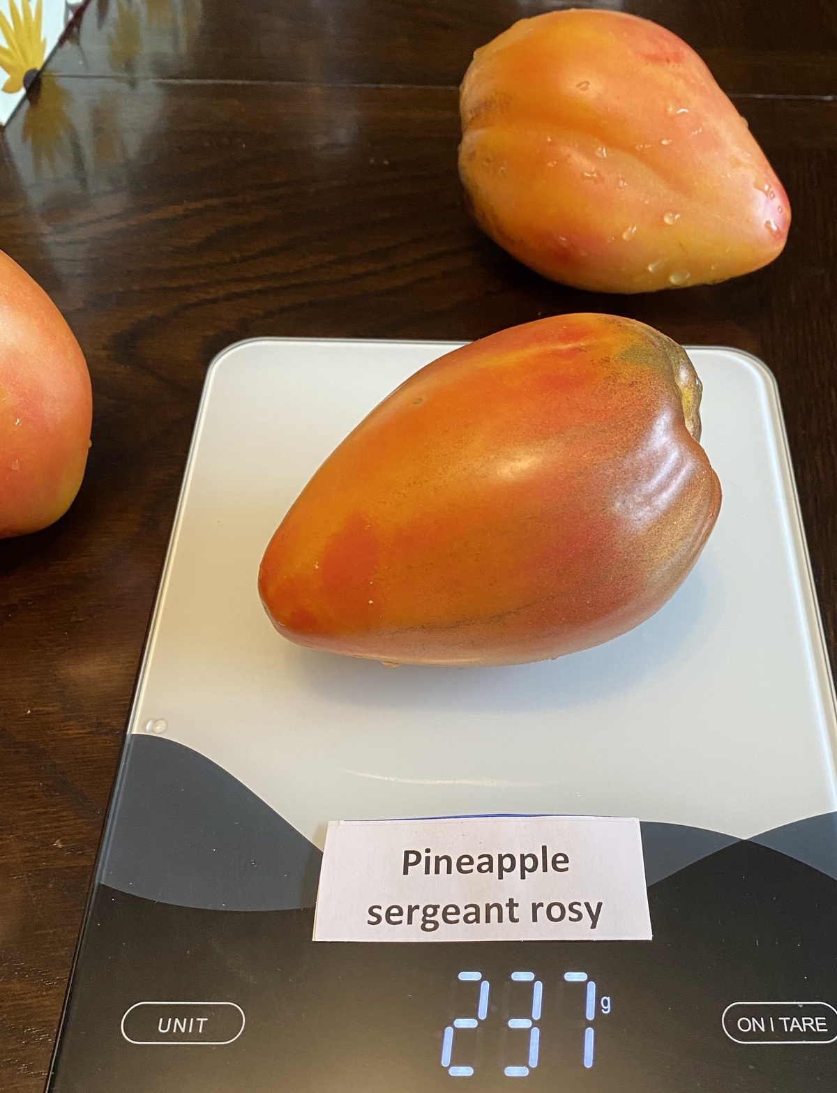 Pineapple Sergeant Rosy