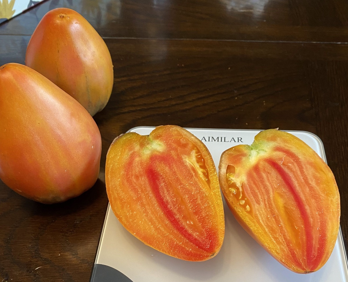 Pineapple Sergeant Rosy