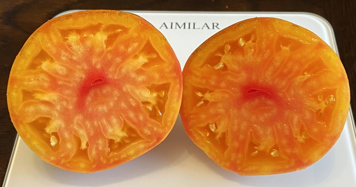 Pineapple Sergeant Rosy