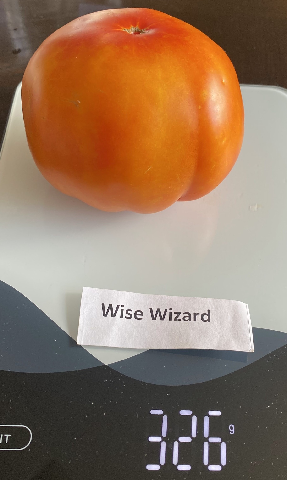 Wise Wizard