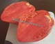 Ancient Heart of Aqui Terme (Cuore antico di Acqui Terme)