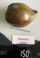 Victoria's Salute