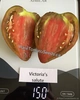 Victoria's Salute