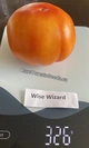 Wise Wizard