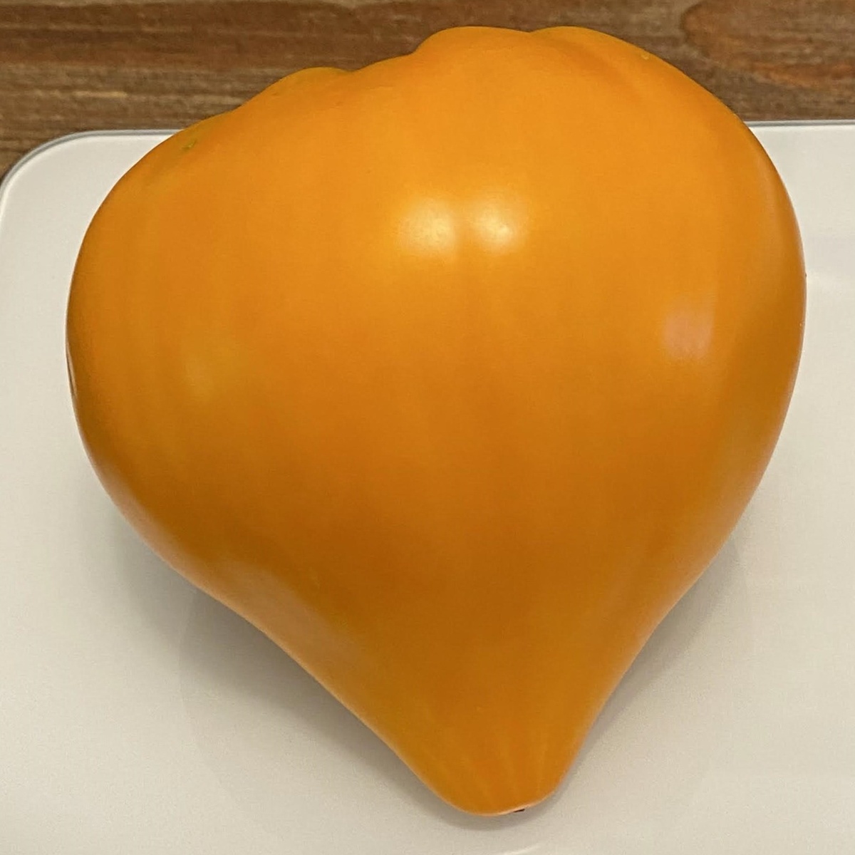 Zailijskiy Alatau Yellow