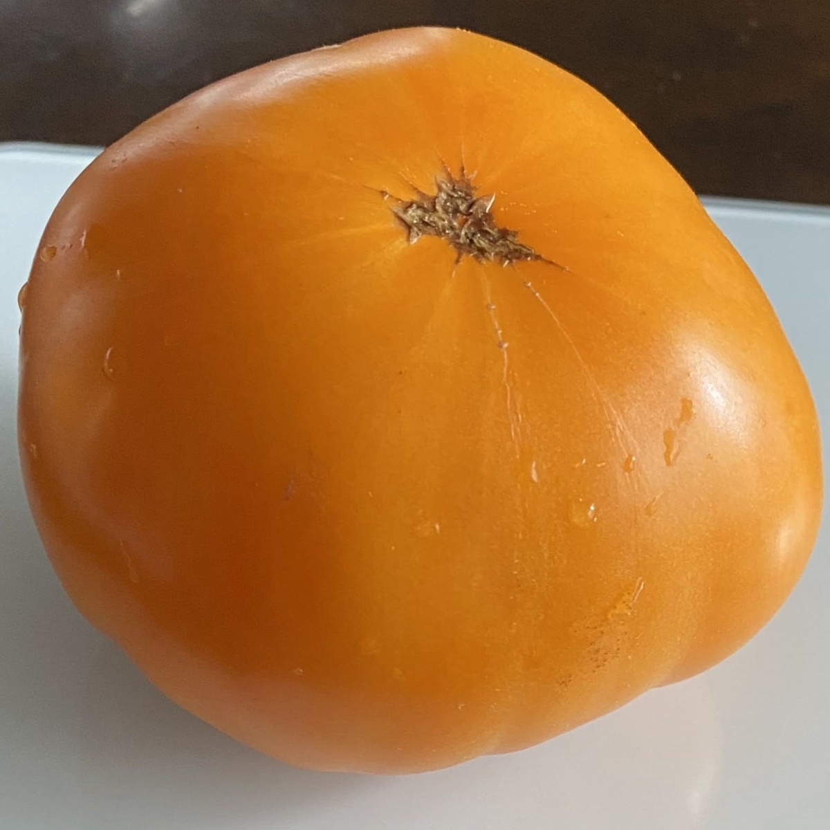 Barnes Mountain Yellow