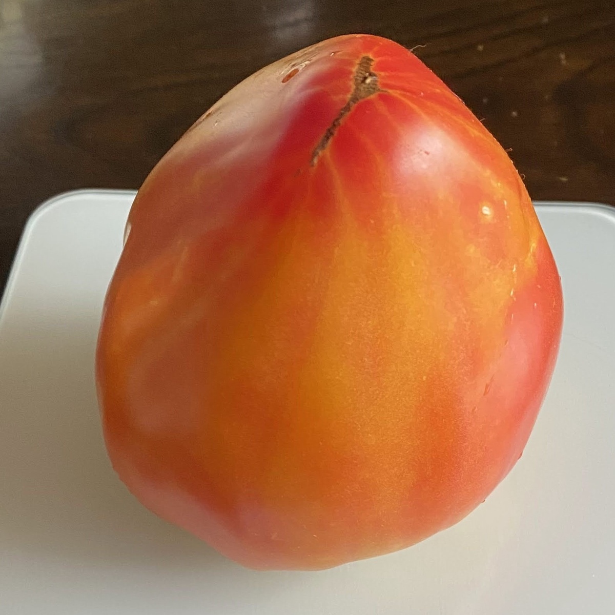 Minusinsk Orange Elephant