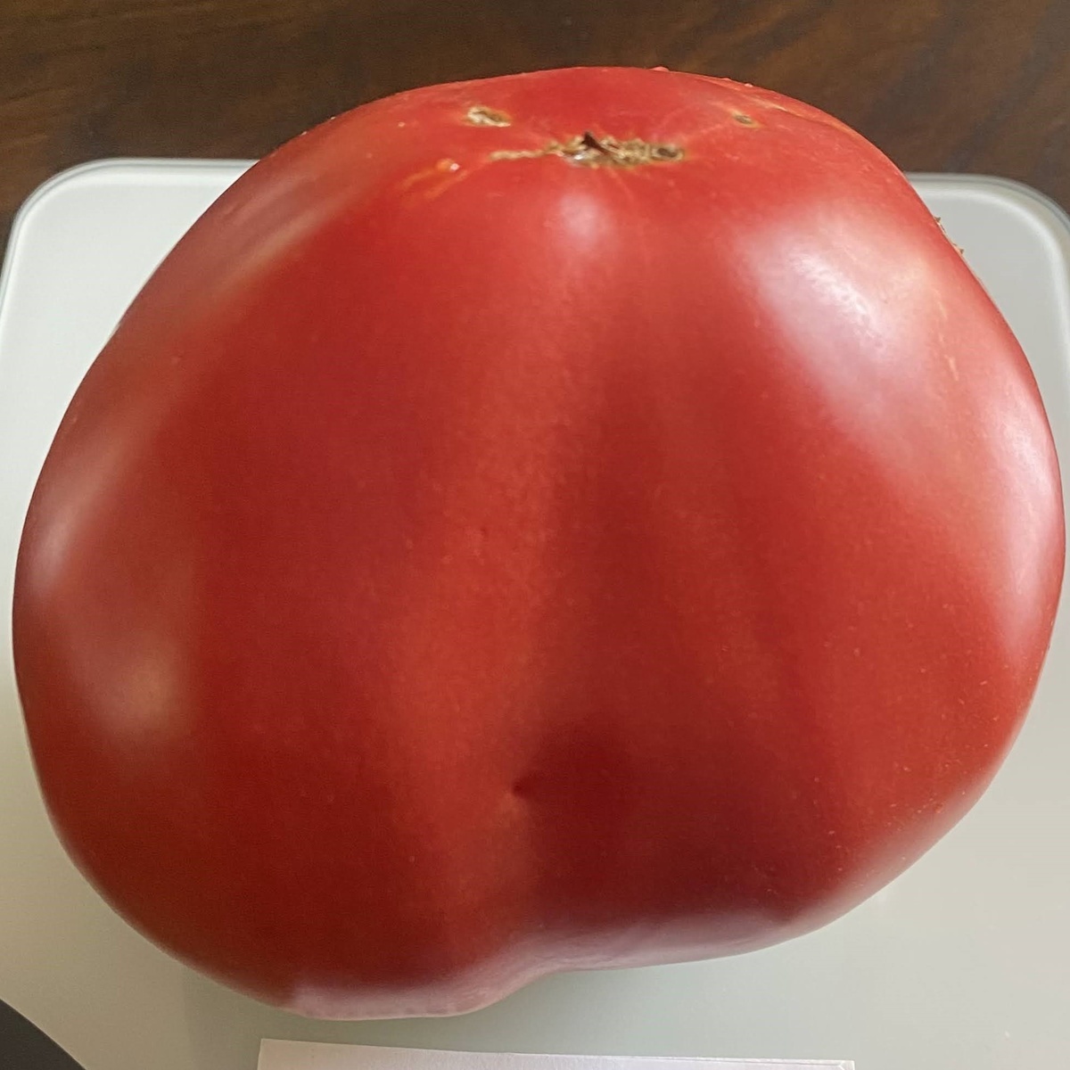 Cuore di bue Colli Euganei (Heart)